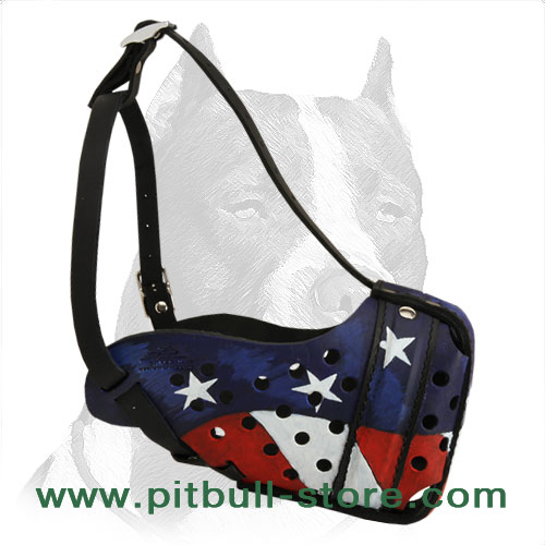 Pitbull dog muzzle of selected leather