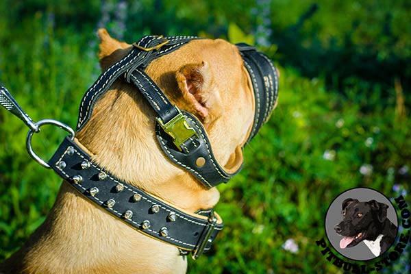 Extra light leather muzzle for Pitbull safe walking
