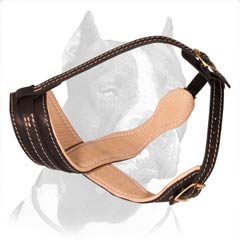 Pitbull loop-like leather muzzle