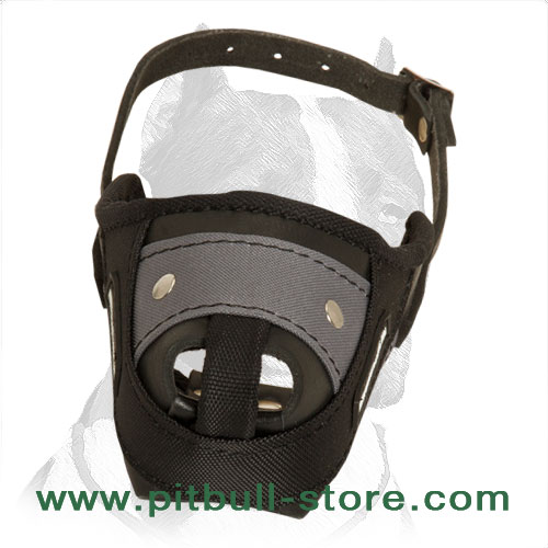 Muzzle leather for Pitbull nylon fully padded