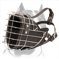 Pitbull leather muzzle fully padded
