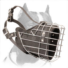 Muzzle leather for Pitbull superior air ventilation