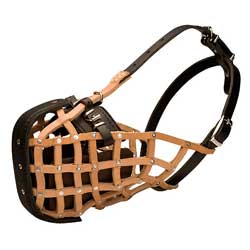 Police style Pitbull leather muzzle