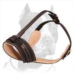 Strong Nappa padded leather muzzle