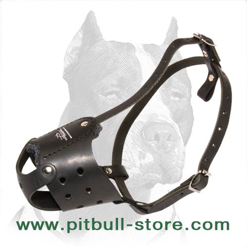 Dog muzzle, perfect look