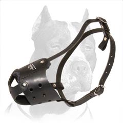 Handcrafted Pitbull Muzzle