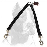 '2 Dogs Walking' Pitbull Nylon Coupler