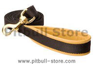 Very comfortable walking dog leash 4 Foot 3/4 inch for Pitbull