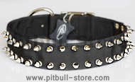 Black Nylon Spiked Dog Collar - 2 Rows of spikes