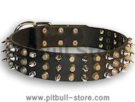 Leather dog collar with 3spikes+3old brass pyramids for All dogs