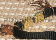 prong dog collar with loop