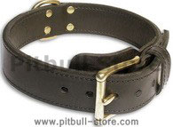 PITBULL 2 PLY Leather Black collar 21''/21 inch dog collar-c33nh