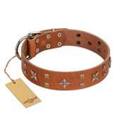 "Dreamy Gleam" FDT Artisan Tan Leather Pitbull Collar Adorned with Stars and Squares