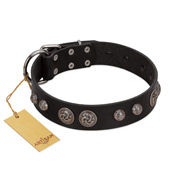 "Tricky Ricky" FDT Artisan Black Leather Pitbull Collar Adorned with Silver-Like Conchos