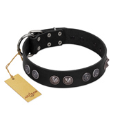 "Silver Medallions" Mod FDT Artisan Black Leather Pitbull Collar with Round Plates