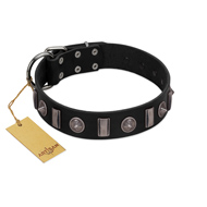 "Silver Spikes" Exclusive FDT Artisan Black Leather Pitbull Collar