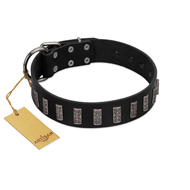 "Black Prince" Handmade FDT Artisan Black Leather Pitbull Collar with Silver-Like Adornments