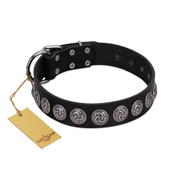 "Black Raven" Handmade FDT Artisan Black Leather Pitbull Collar with Silver-Like Adornments