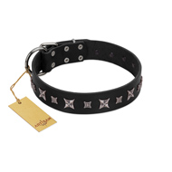 "Polar Lights" Designer FDT Artisan Black Leather Pitbull Collar with Silver-Like Studs