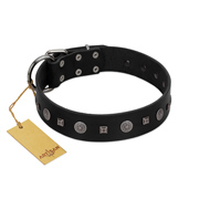 "Mr. Elegance" Designer FDT Artisan Black Leather Pitbull Collar with Silver-Like Studs