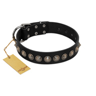 "Black Eagle" Handcrafted FDT Artisan Black Leather Pitbull Collar with Silver-Like Adornments