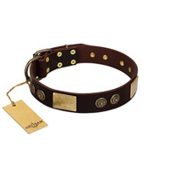 "Bow-Wow Effect" FDT Artisan Brown Leather Pitbull Collar with Plates and Ornate Studs