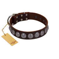 "Charming Circles" FDT Artisan Brown Leather Pitbull Collar with Silver-like Studs
