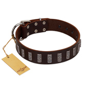 "Brown Lace" Handmade FDT Artisan Brown Leather Pitbull Collar for Everyday Walks