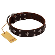 "Trendy Candy" FDT Artisan Brown Leather Pitbull Collar Adorned with Stars and Tiny Squares