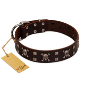 "Menacing Allure" FDT Artisan Brown Leather Pitbull Collar Embellished with Silvery Crossbones and Square Studs