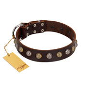 "Gape Buster" FDT Artisan Brown Leather Pitbull Collar with One Row of Studs