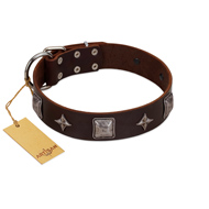 "Cold Star" Designer FDT Artisan Brown Leather Pitbull Collar with Silver-Like Adornments