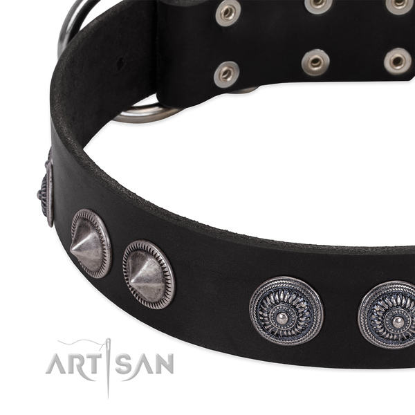 Studded full grain natural leather dog collar with corrosion proof buckle