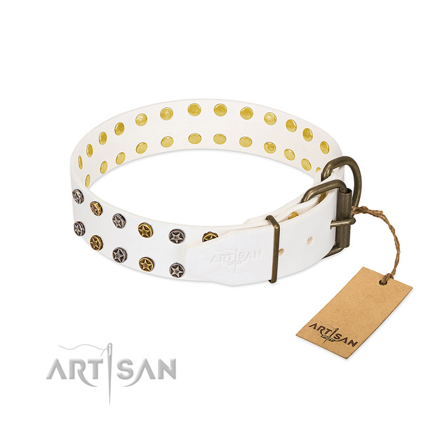 Genuine leather collar with awesome studs for your pet