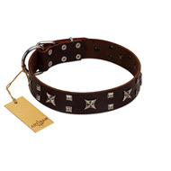 "Bigwig Woof" FDT Artisan Brown Leather Pitbull Collar with Chrome Plated Stars and Square Studs