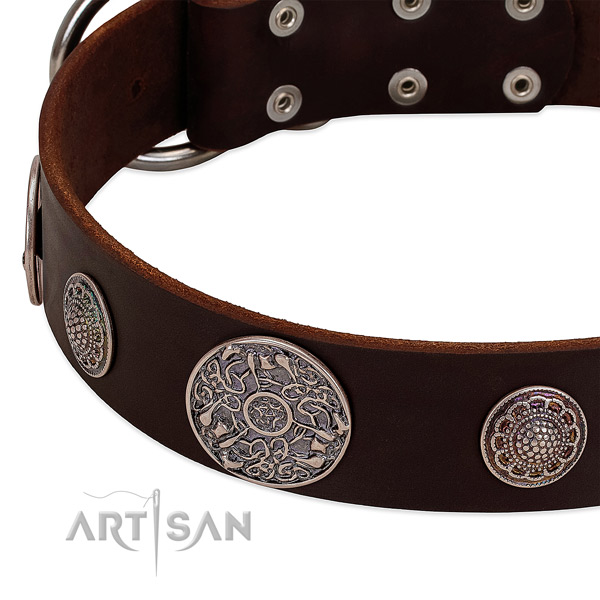 Corrosion resistant traditional buckle on full grain natural leather dog collar