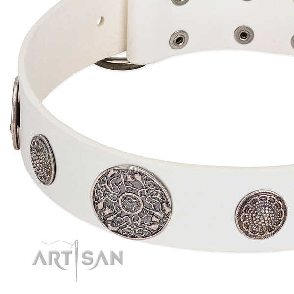 Corrosion resistant D-ring on leather dog collar