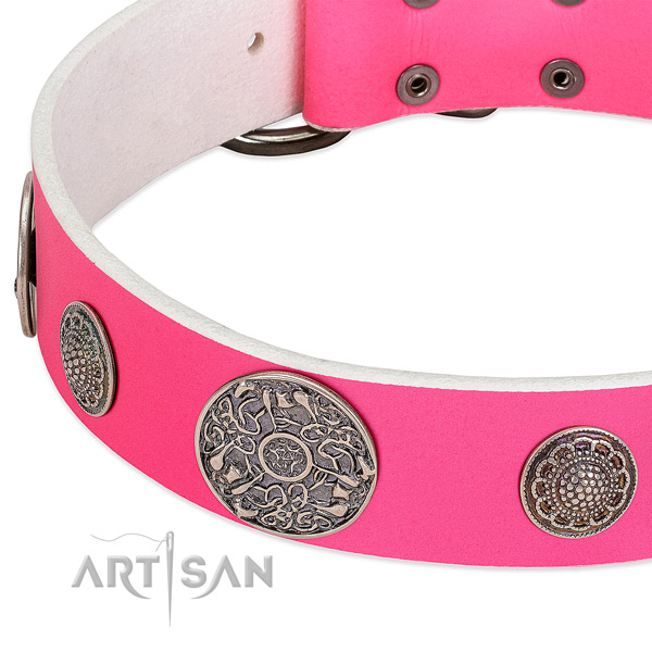 Reliable embellishments on full grain natural leather dog collar