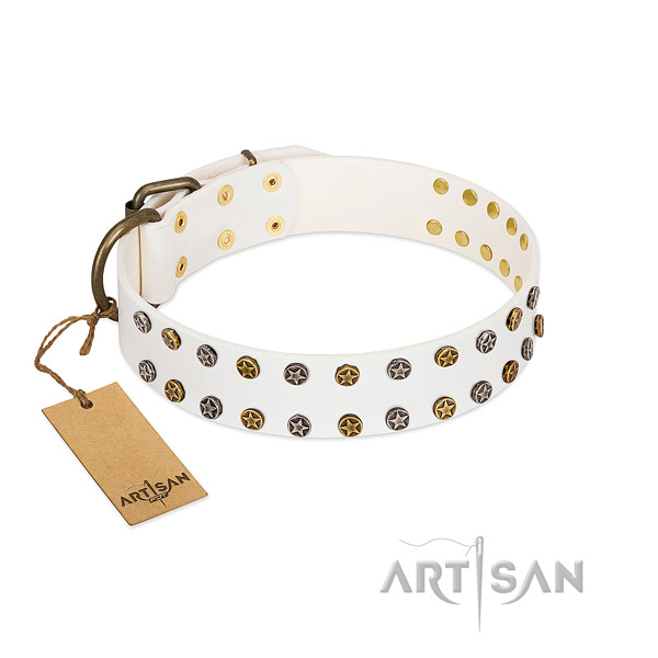 Awesome full grain genuine leather dog collar with strong adornments