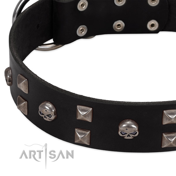 Top rate natural leather dog collar crafted for your four-legged friend