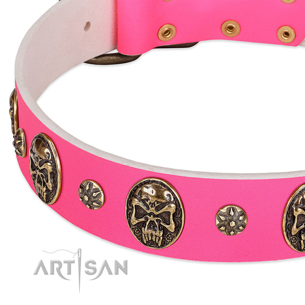 Decorated dog collar made for your stylish dog
