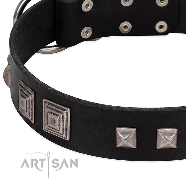Rust-proof traditional buckle on genuine leather dog collar for handy use