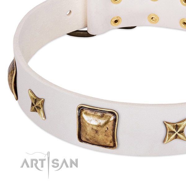 Reliable buckle on leather dog collar for your pet
