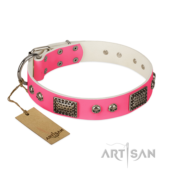 Easy adjustable full grain natural leather dog collar for walking your four-legged friend