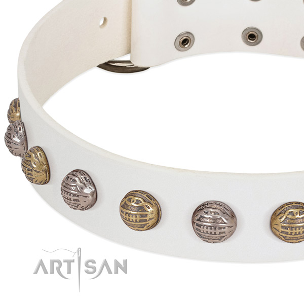 Rust resistant D-ring on full grain natural leather collar for fancy walking your four-legged friend