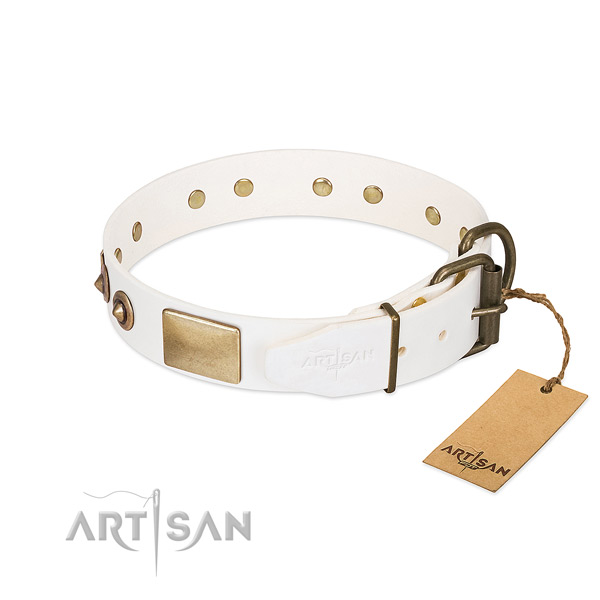 Reliable embellishments on full grain leather dog collar for your pet