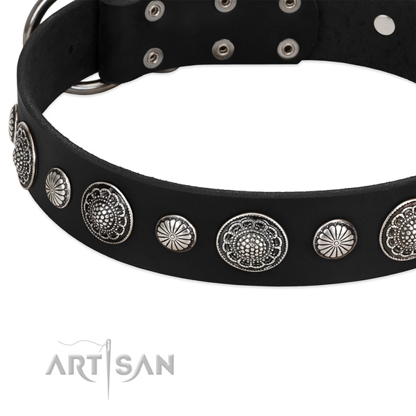Full grain leather collar with strong traditional buckle for your attractive pet