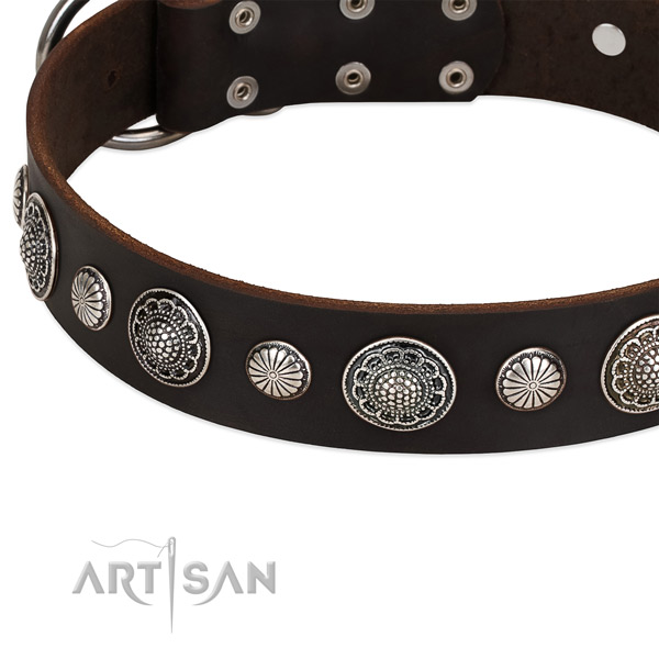 Natural leather collar with rust resistant hardware for your impressive four-legged friend