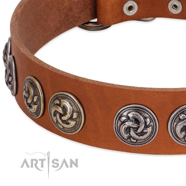 Incredible full grain leather collar for your pet walking