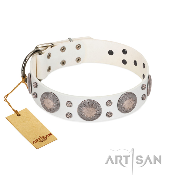 Impressive full grain leather collar for your attractive dog